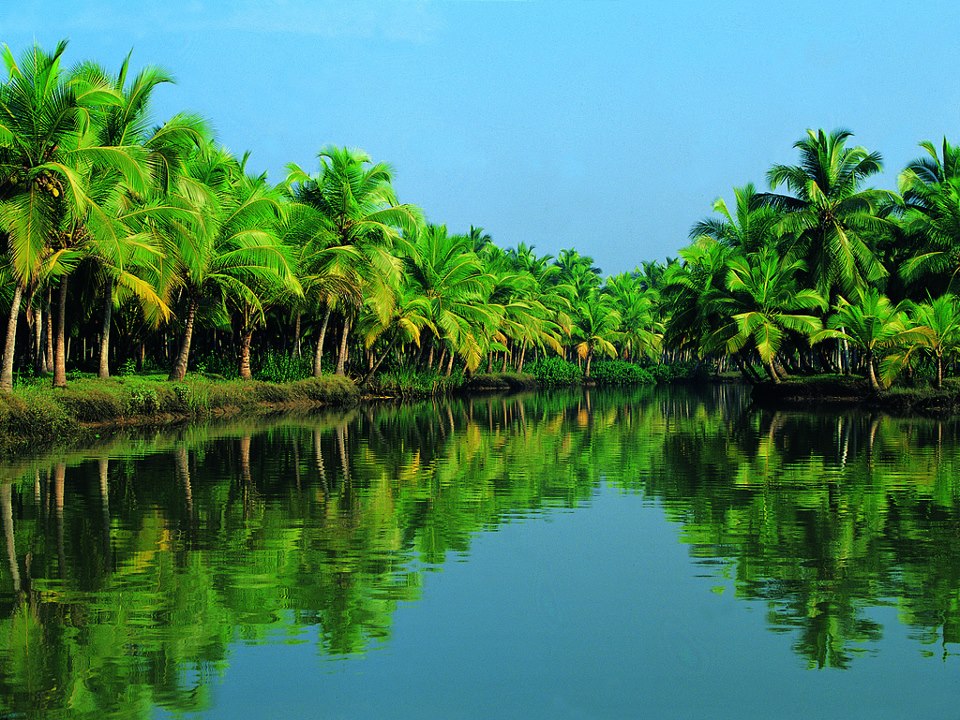 Back Waters - Kerala Tourism