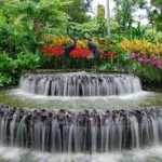 Botanic Garden, Singapore