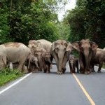 Kao Jai National Park - Thailand